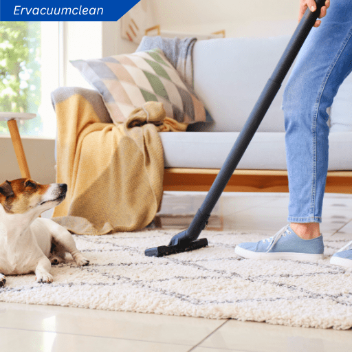 Ilustrasi vacuum cleaner untuk hewan peliharaan